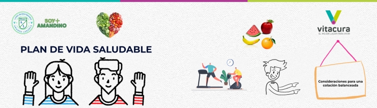 Plan Vida Saludable - Consejos para retomar las colaciones saludables en el regreso a clases.